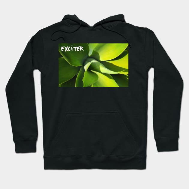 Exciter FanMode Hoodie by GermanStreetwear